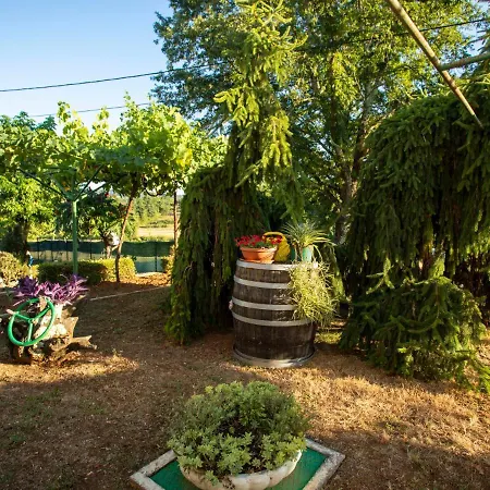 Olivia By Interhome * Pićan